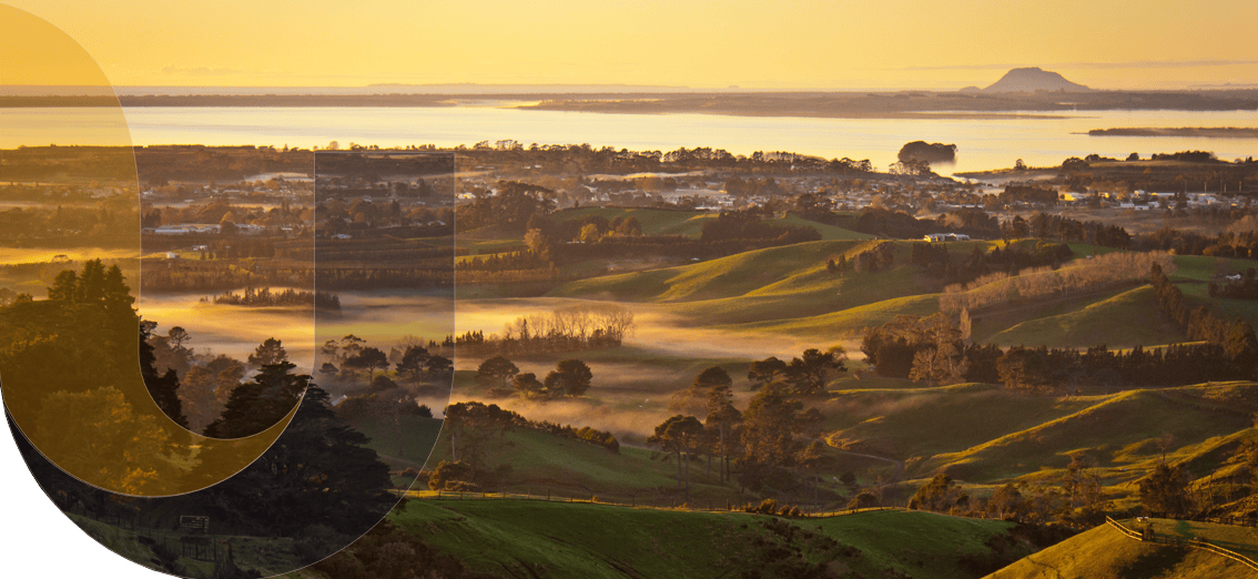 unite insurance services in auckland and waikato hamilton banner 13 1