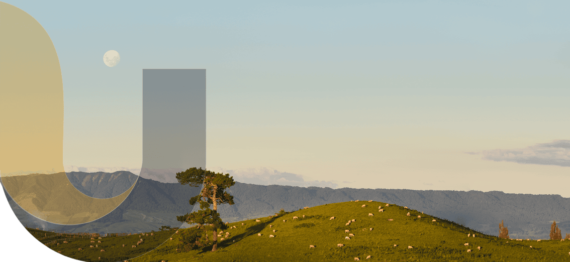 unite insurance services in auckland and waikato hamilton banner 16