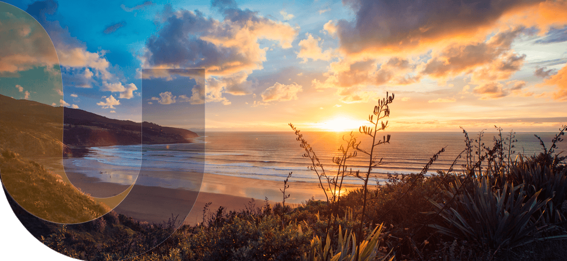 unite insurance services in auckland and waikato hamilton banner 19