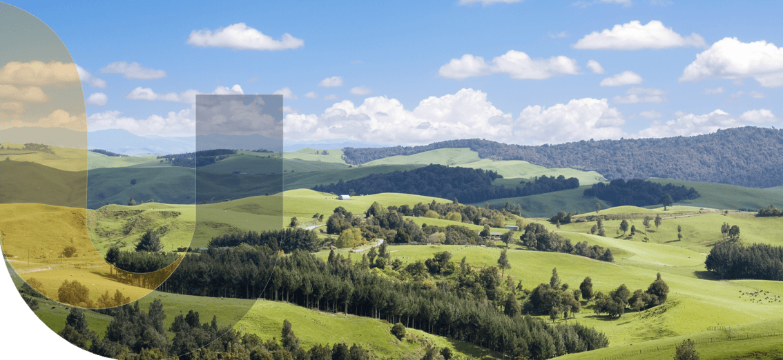 unite insurance services in auckland and waikato hamilton banner 22