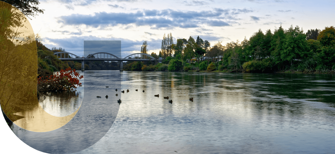 unite insurance services in auckland and waikato hamilton banner 23