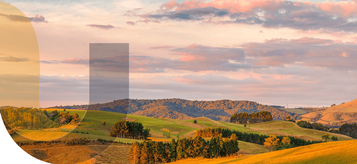 unite insurance services in auckland and waikato hamilton banner 25