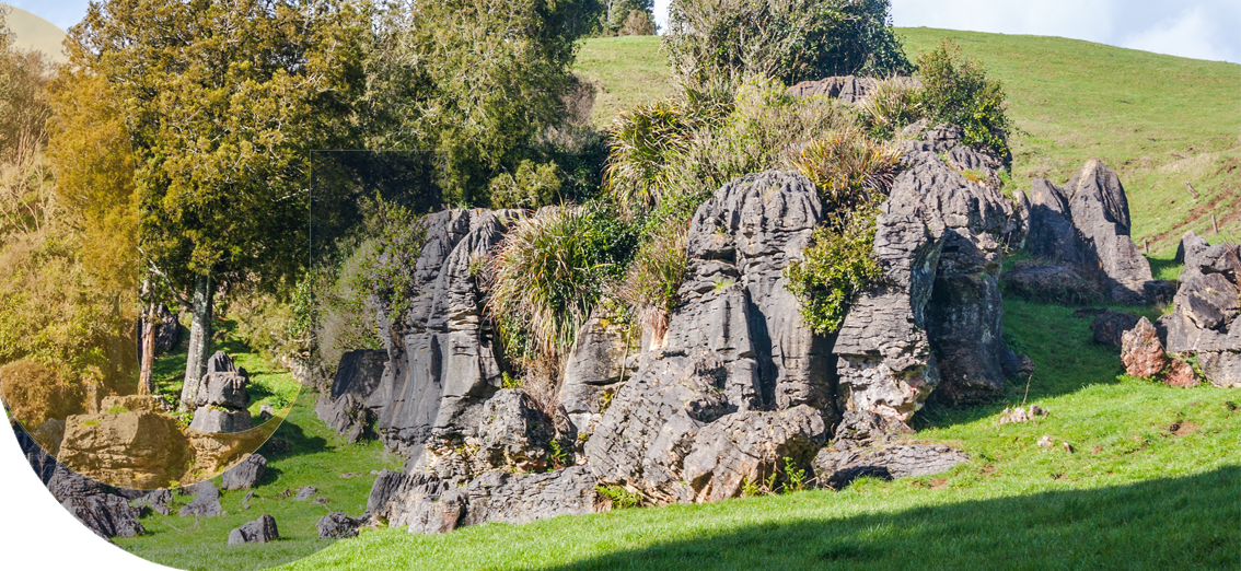 unite insurance services in auckland and waikato hamilton banner 28