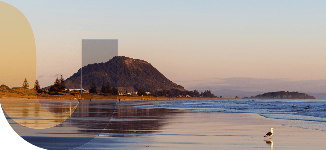 unite insurance services in auckland and waikato hamilton banner 6